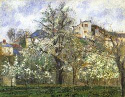 Camille Pissarro Vegetable Garden and Trees in Flower Spring